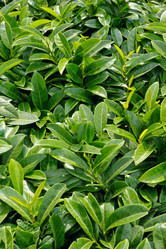 Similar image 2873888