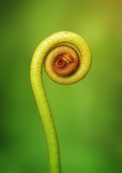 Similar image 2873910