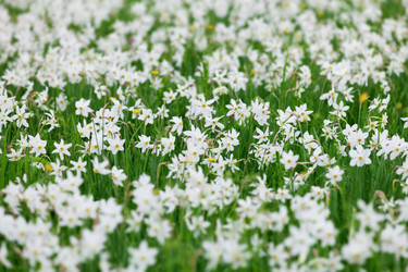 Similar image 2873924