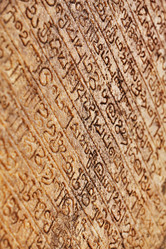 Similar image 2873925