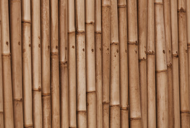 Similar image 2873958