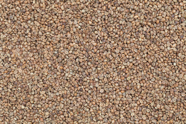 Similar image 2873961