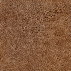 Similar image 2873965