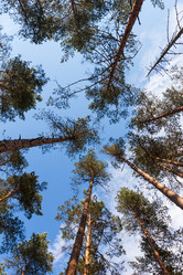 Similar image 2874059