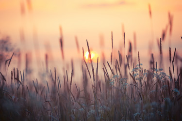 Similar image 2874066