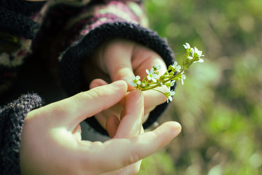 Similar image 2874177