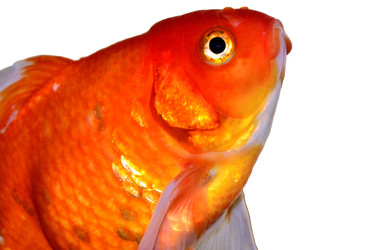 Similar image 2874179