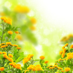 Similar image 2874184