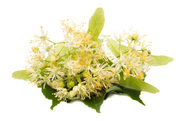 Similar image 2874196