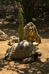 Similar image 2874216