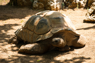 Similar image 2874218