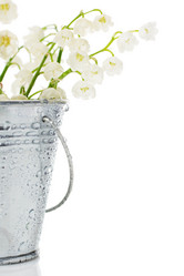 Similar image 2874225