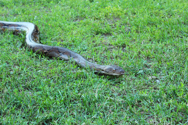 Similar image 2874227