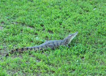 Similar image 2874228