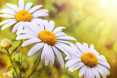 Similar image 2874241