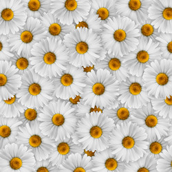 Similar image 2874242