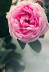 Similar image 2874247