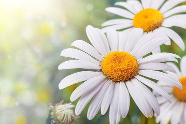 Similar image 2874250