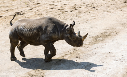 Similar image 2874338