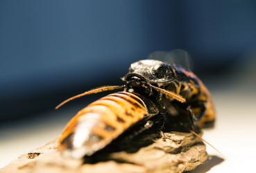 Similar image 2874341