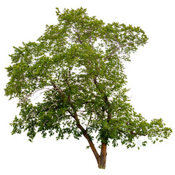 Similar image 2874635