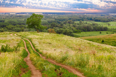 Similar image 2874636