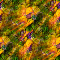 Similar image 2874684