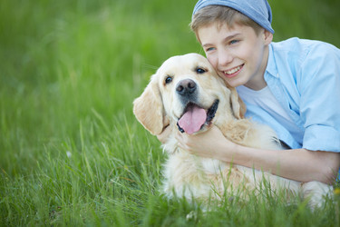 Similar image 2875078