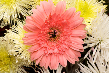 Similar image 2875134