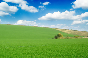 Similar image 2875152