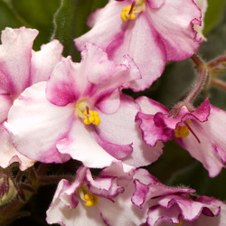 Similar image 2875163