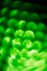 Similar image 2875166