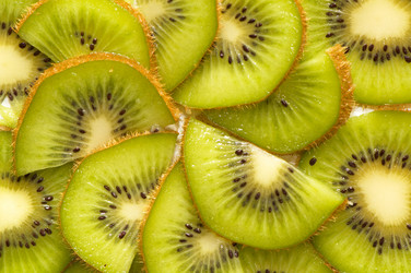 Similar image 2875169