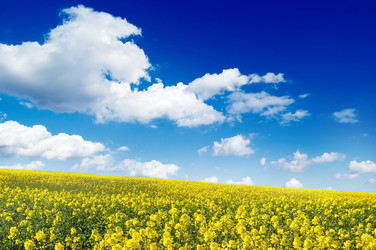 Similar image 2875172