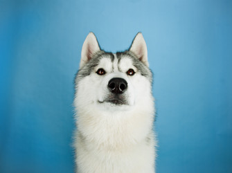 Similar image 2875233