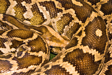 Similar image 2875517