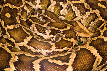 Similar image 2875521