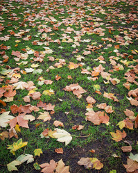 Similar image 2875594