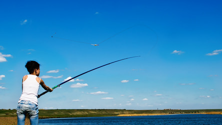 Similar image 2875608