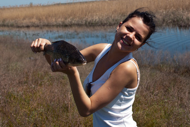 Similar image 2875649