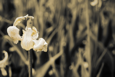 Similar image 2876241