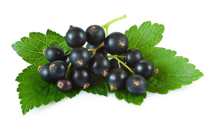 Similar image 2876264