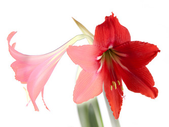 Similar image 2876286