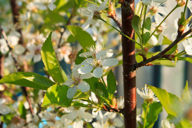 Similar image 2876379