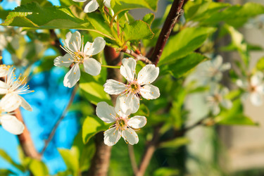 Similar image 2876380