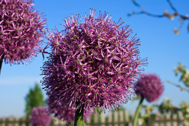 Similar image 2876382