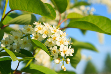 Similar image 2876384