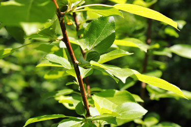 Similar image 2876386