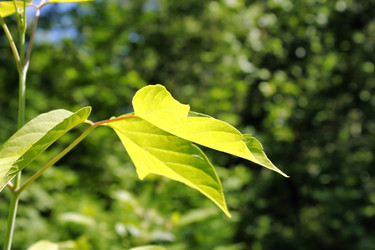 Similar image 2876387