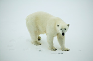 Similar image 2876390